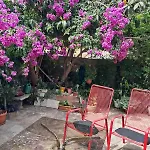 Old Town Oasis House Apartman Dubrovnik
