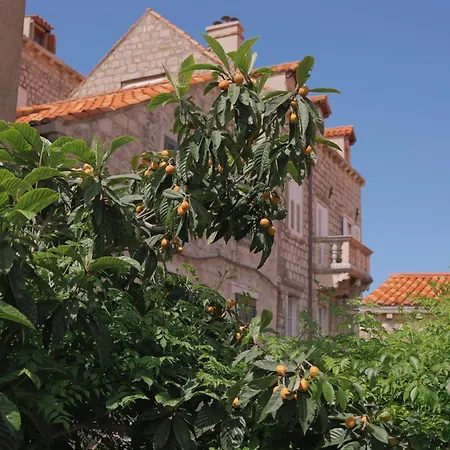 Apartamento Old Town Oasis House Dubrovnik