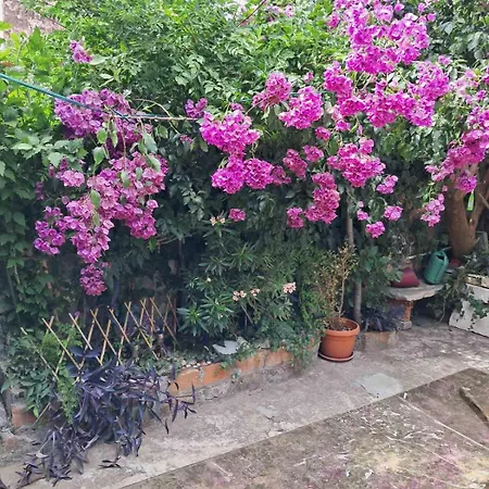 Old Town Oasis House Apartment Dubrovnik