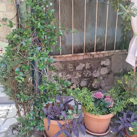 Old Town Oasis House شقة *