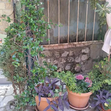 Old Town Oasis House 아파트 *