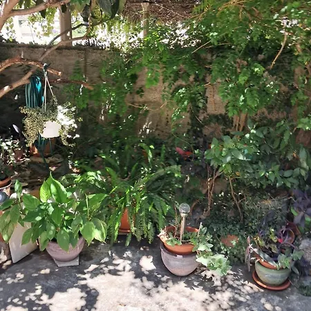 Apartmán Old Town Oasis House *