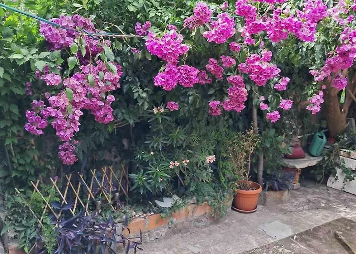Old Town Oasis House Appartamento Ragusa
