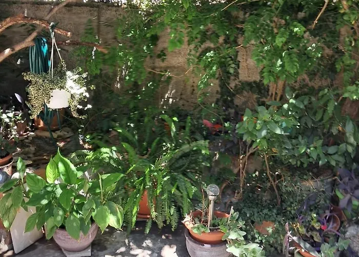 Lejlighed Old Town Oasis House *