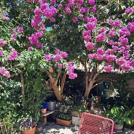 Appartamento Old Town Oasis House