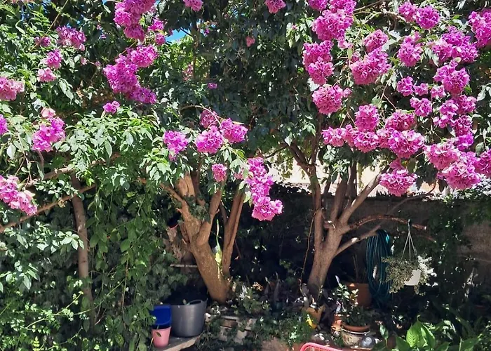 Διαμέρισμα Old Town Oasis House