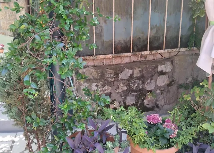 Old Town Oasis House Διαμέρισμα *